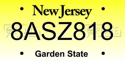 8ASZ818 New Jersey License Plate