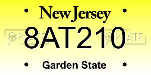 8AT210 New Jersey License Plate