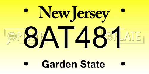 8AT481 New Jersey License Plate