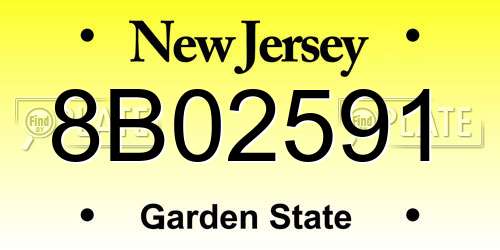 8B02591 New Jersey License Plate