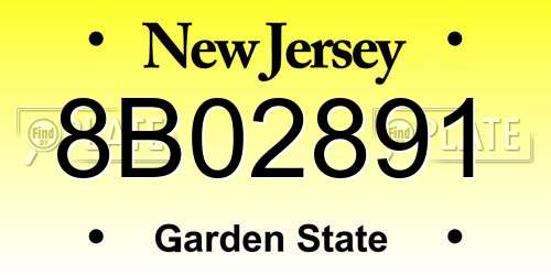 8B02891 New Jersey License Plate
