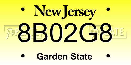 8B02G8 New Jersey License Plate