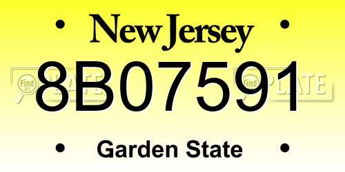 8B07591 New Jersey License Plate