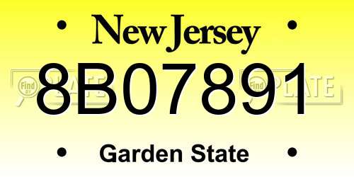 8B07891 New Jersey License Plate