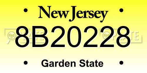 8B20228 New Jersey License Plate