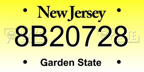 8B20728 New Jersey License Plate