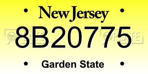 8B20775 New Jersey License Plate