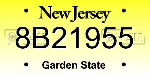 8B21955 New Jersey License Plate