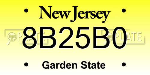 8B25B0 New Jersey License Plate