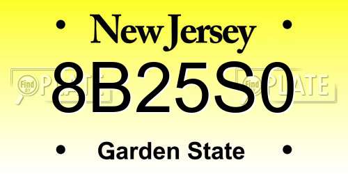 8B25S0 New Jersey License Plate