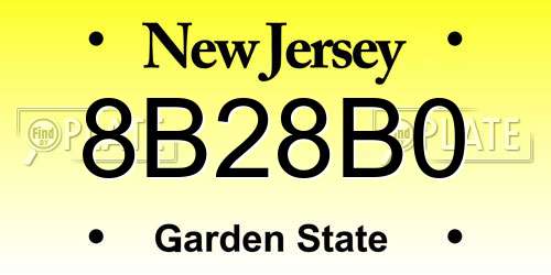 8B28B0 New Jersey License Plate