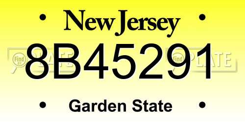 8B45291 New Jersey License Plate
