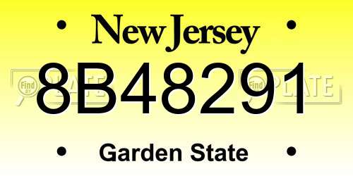 8B48291 New Jersey License Plate