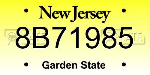 8B71985 New Jersey License Plate
