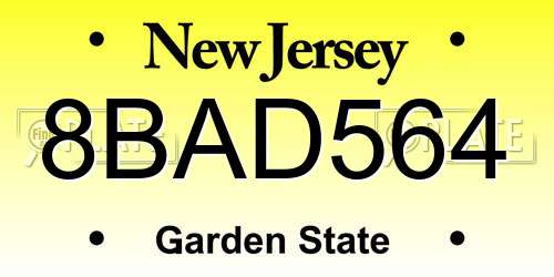 8BAD564 New Jersey License Plate