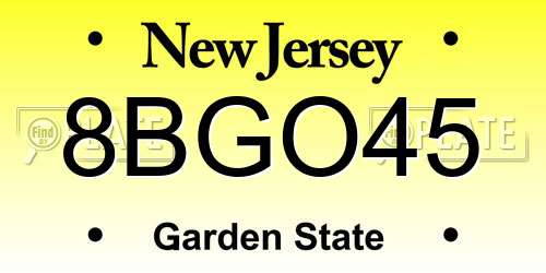8BGO45 New Jersey License Plate