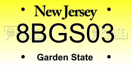 8BGS03 New Jersey License Plate
