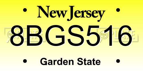 8BGS516 New Jersey License Plate