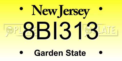 8BI313 New Jersey License Plate
