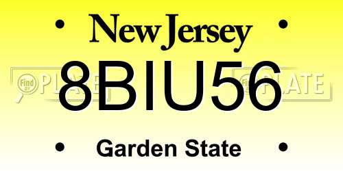 8BIU56 New Jersey License Plate