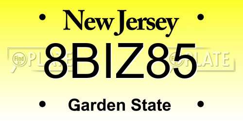 8BIZ85 New Jersey License Plate