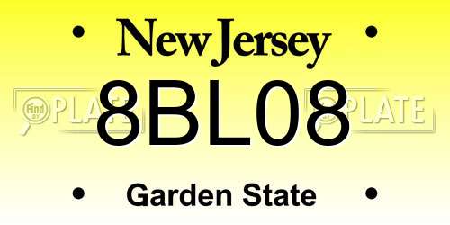 8BL08 New Jersey License Plate