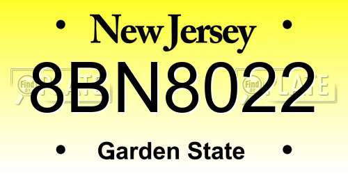 8BN8022 New Jersey License Plate