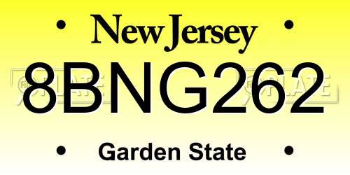 8BNG262 New Jersey License Plate
