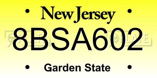 8BSA602 New Jersey License Plate