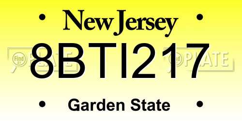 8BTI217 New Jersey License Plate