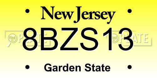 8BZS13 New Jersey License Plate