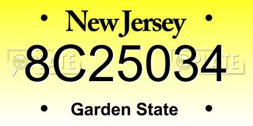 8C25034 New Jersey License Plate