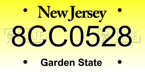 8CC0528 New Jersey License Plate