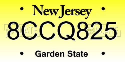 8CCQ825 New Jersey License Plate