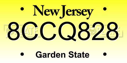 8CCQ828 New Jersey License Plate