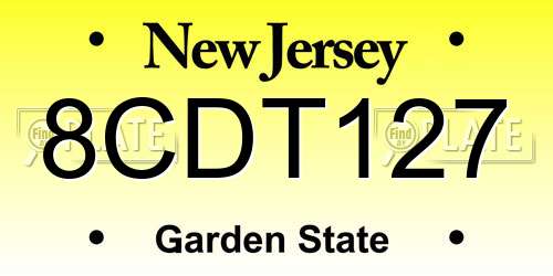 8CDT127 New Jersey License Plate