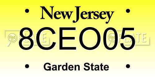 8CEO05 New Jersey License Plate
