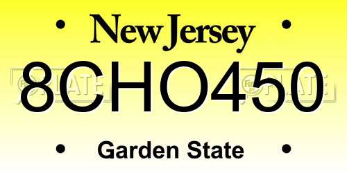 8CHO450 New Jersey License Plate