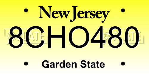 8CHO480 New Jersey License Plate