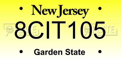 8CIT105 New Jersey License Plate