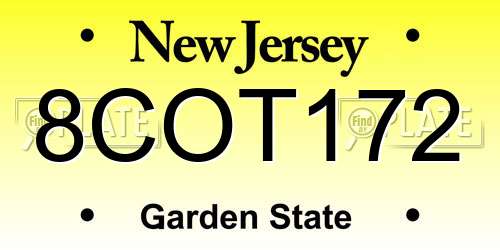 8COT172 New Jersey License Plate