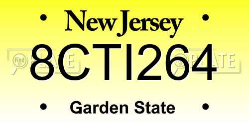 8CTI264 New Jersey License Plate