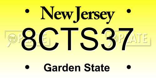 8CTS37 New Jersey License Plate