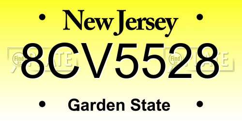 8CV5528 New Jersey License Plate