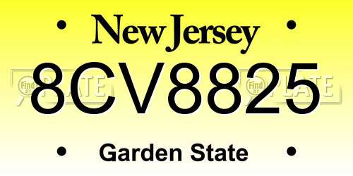 8CV8825 New Jersey License Plate