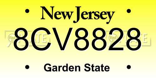 8CV8828 New Jersey License Plate