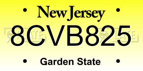 8CVB825 New Jersey License Plate
