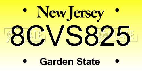 8CVS825 New Jersey License Plate