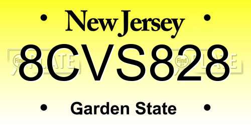 8CVS828 New Jersey License Plate
