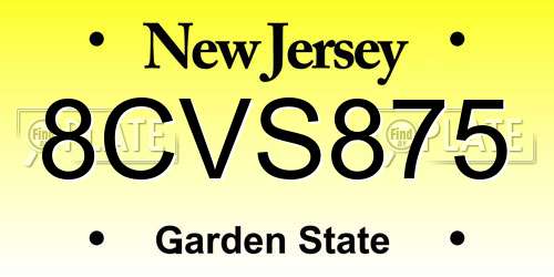 8CVS875 New Jersey License Plate